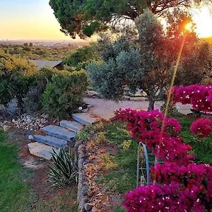  Tente de luxe Oasis Camp Portugal